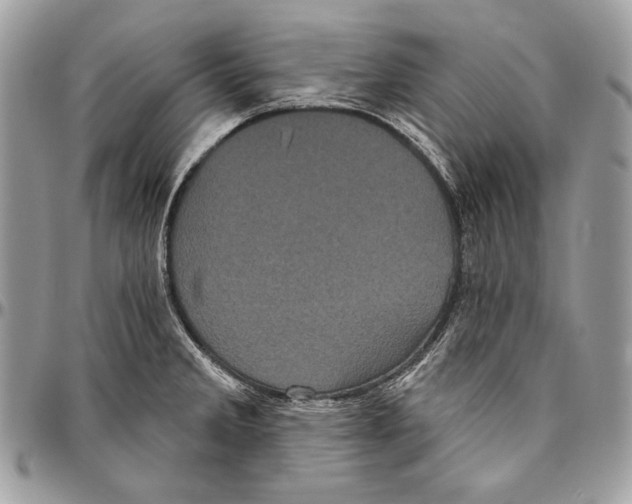 X0000094791285200712071219