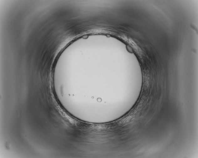 X0000094791286200712071219