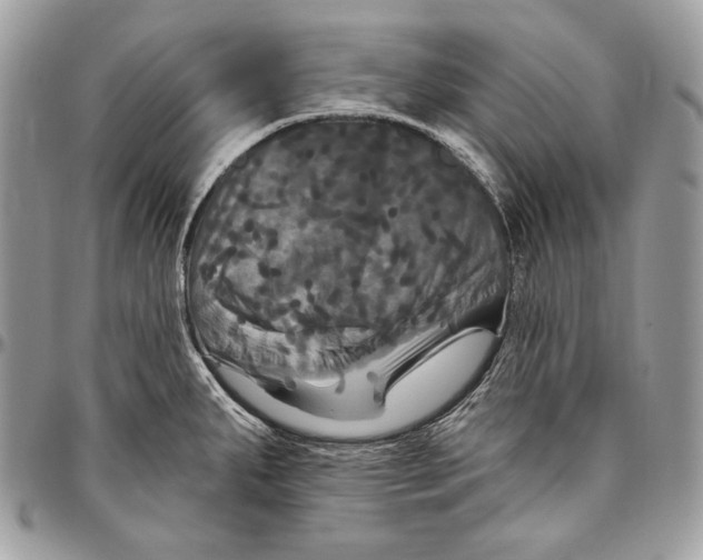 X0000094791287200712071219