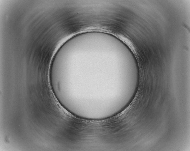 X0000094791288200712071219