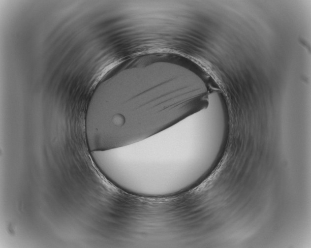 X0000094791289200712071219