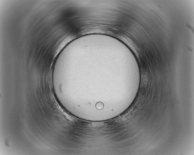 X0000094791290200712071219