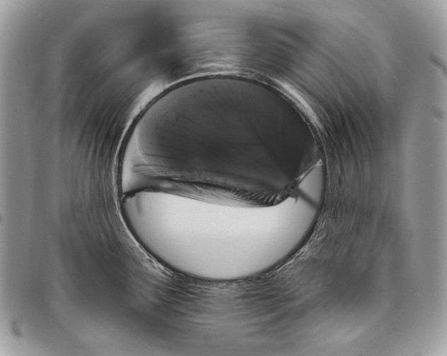 X0000094791291200712071219