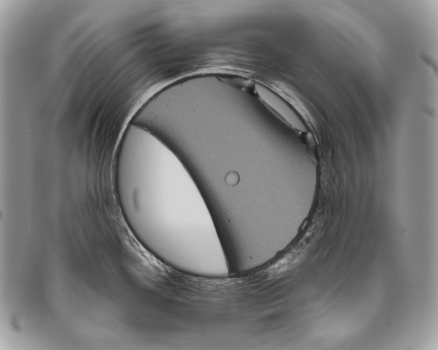 X0000094791292200712071219