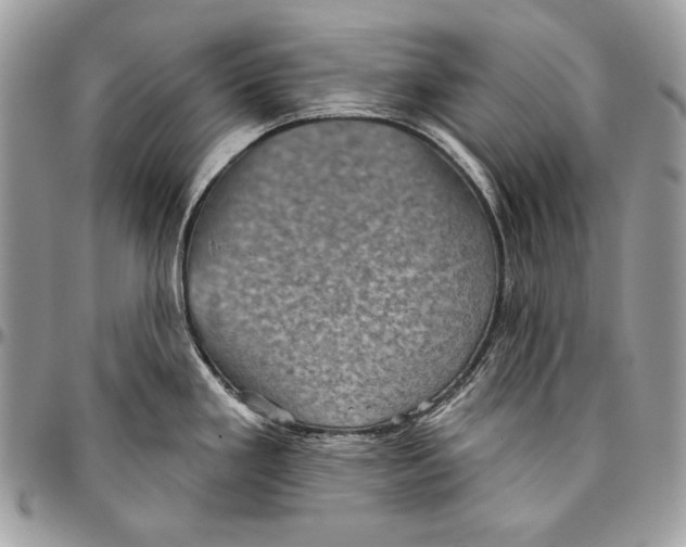 X0000094791293200712071219