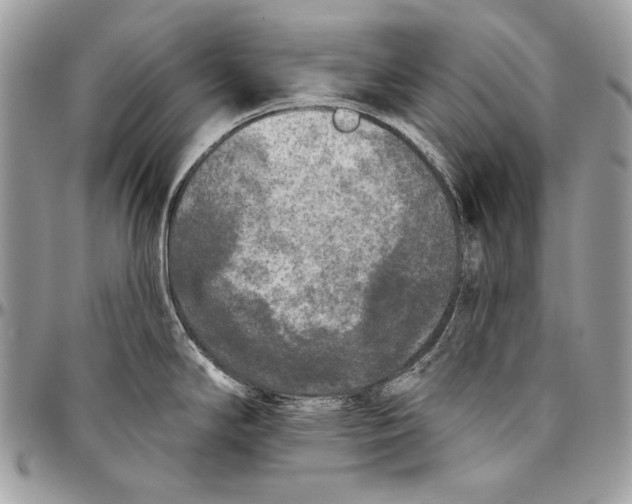 X0000094791294200712071219