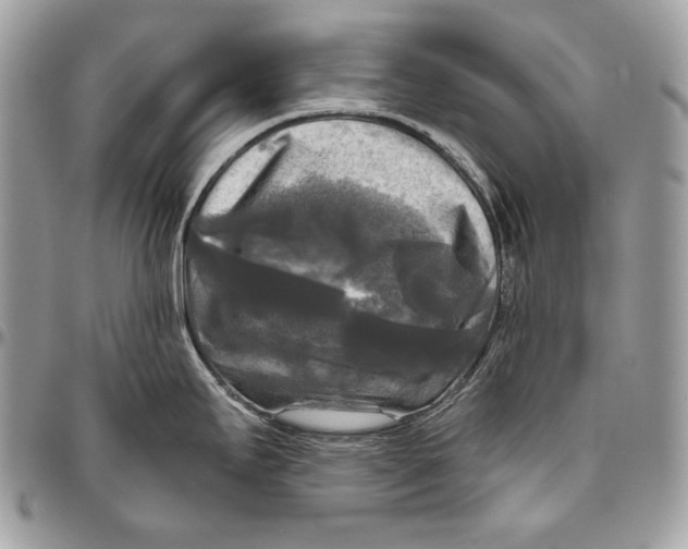 X0000094791295200712071219