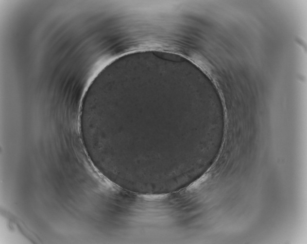 X0000094791296200712071219