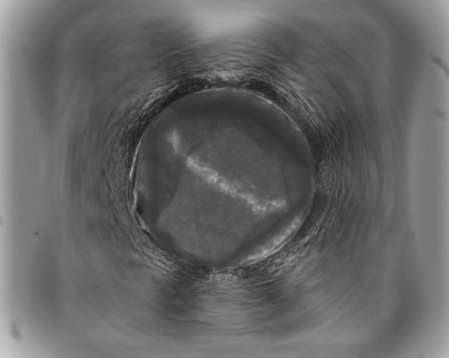 X0000094791297200712071218