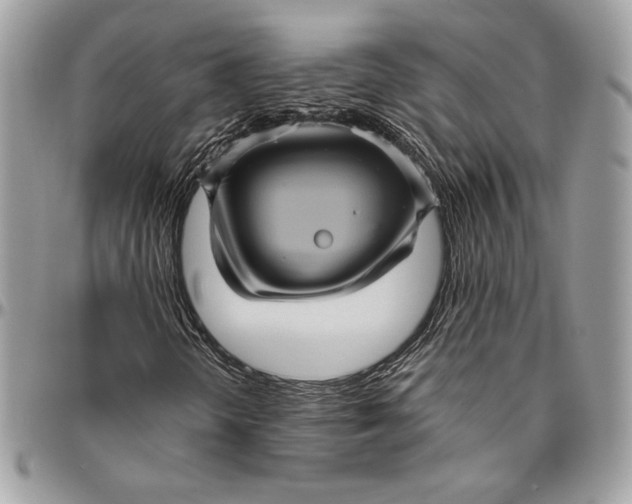 X0000094791298200712071218