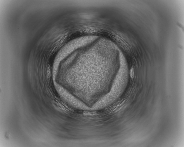 X0000094791299200712071218