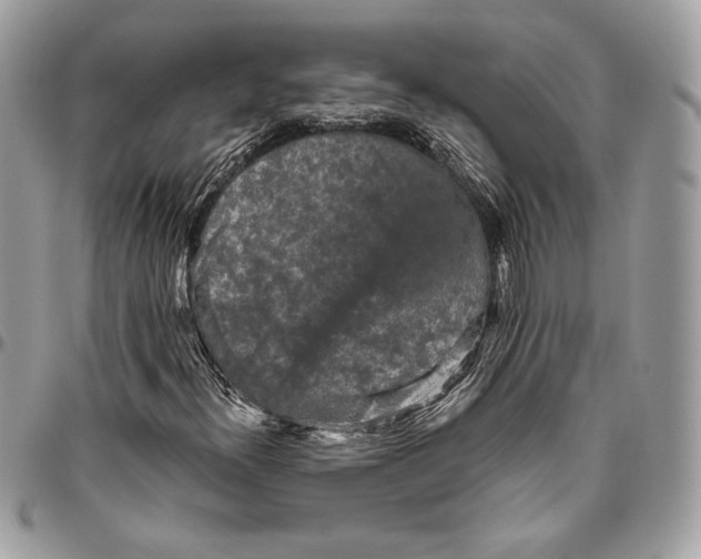 X0000094791300200712071218