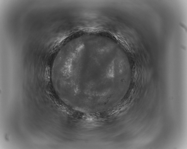 X0000094791301200712071218