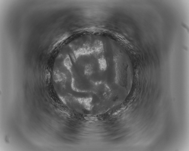 X0000094791302200712071218