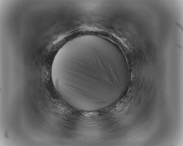 X0000094791303200712071219