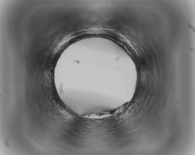 X0000094791304200712071219