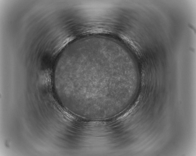 X0000094791305200712071219