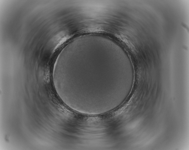 X0000094791306200712071219