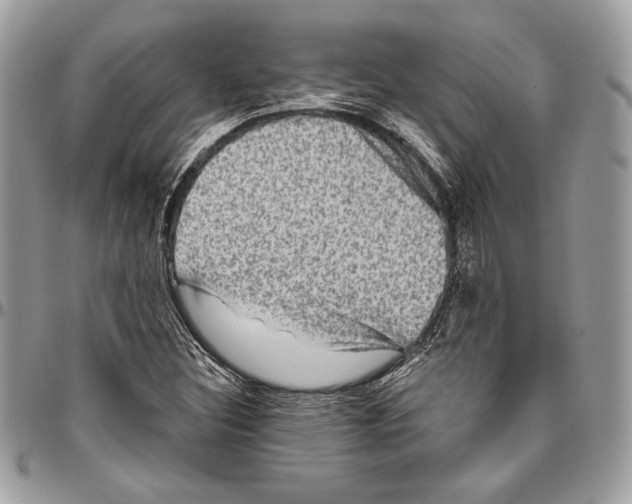 X0000094791308200712071219