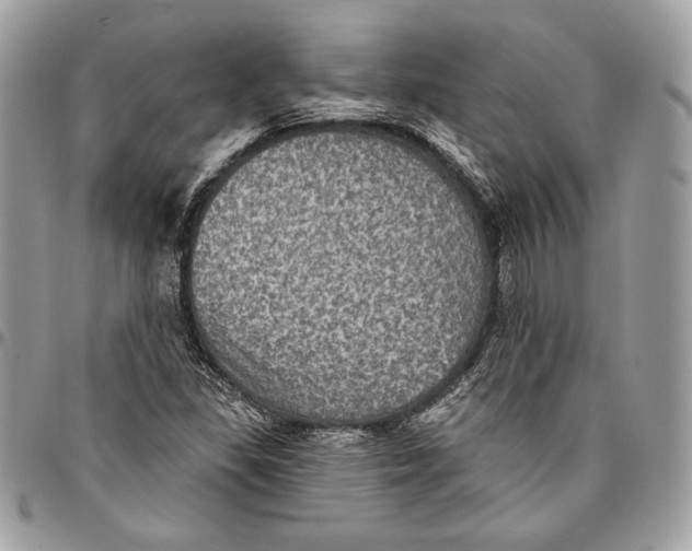 X0000094791309200712071219