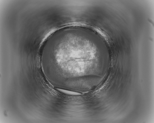 X0000094791310200712071219