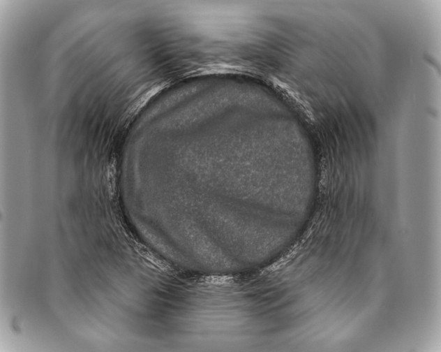 X0000094791313200712071219