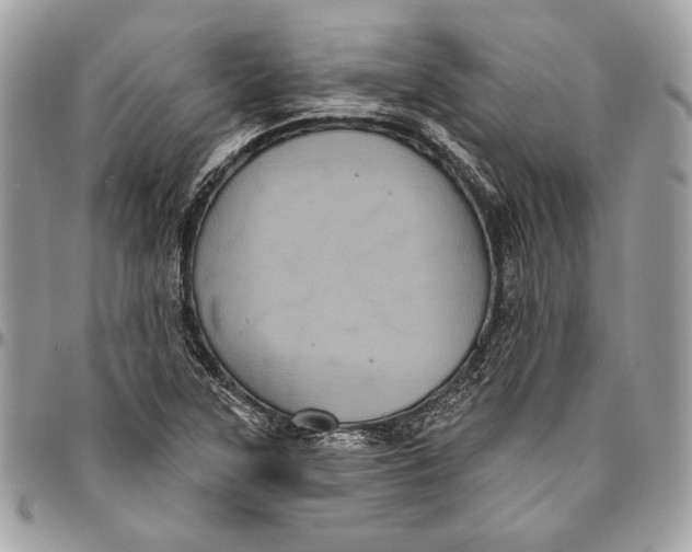 X0000094791315200712071219