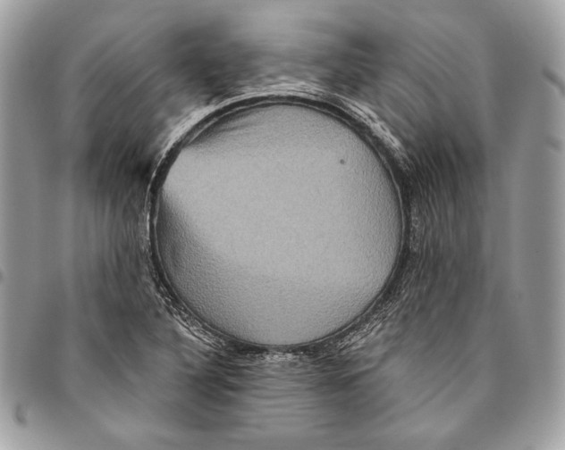 X0000094791316200712071219