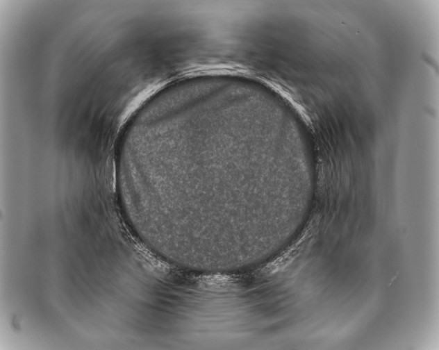 X0000094791317200712071219