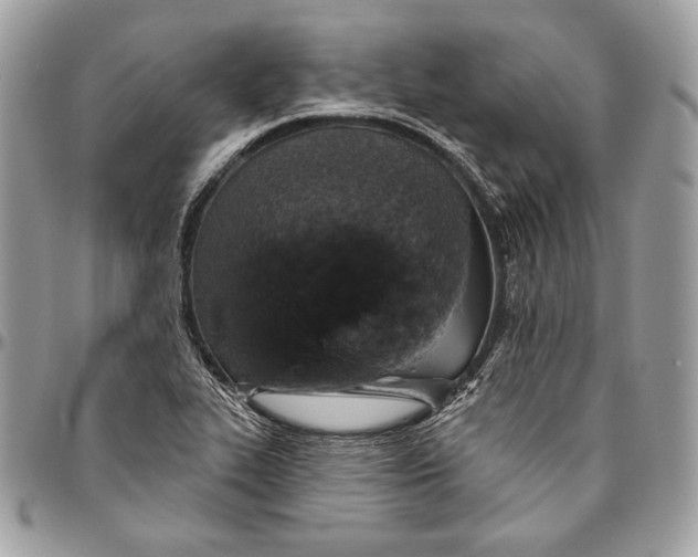 X0000094791319200712071219