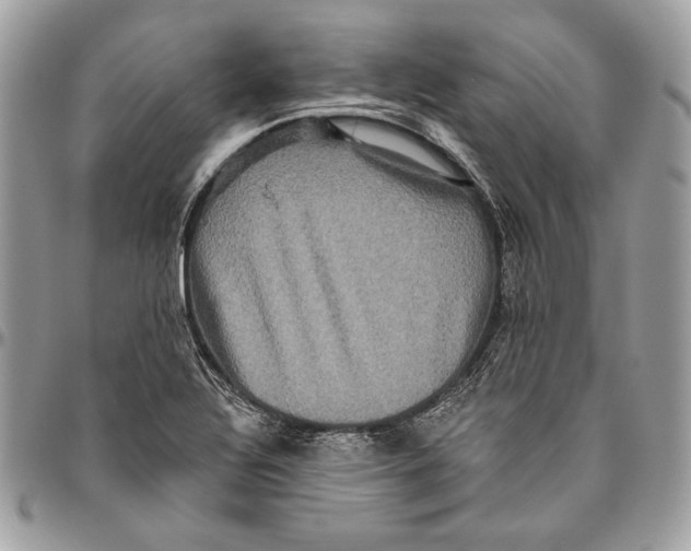 X0000094791320200712071219