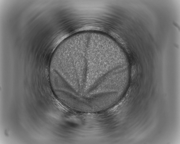 X0000094791321200712071219