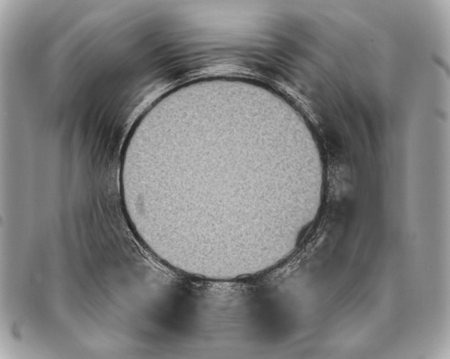 X0000094791322200712071219