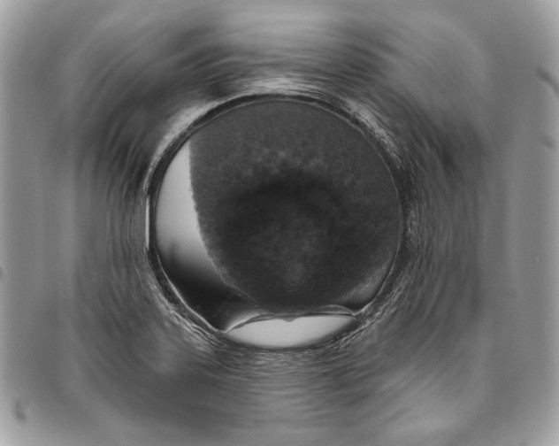 X0000094791323200712071219