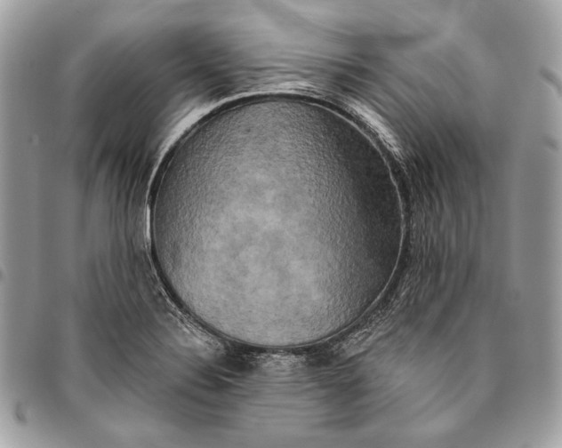 X0000094791324200712071219