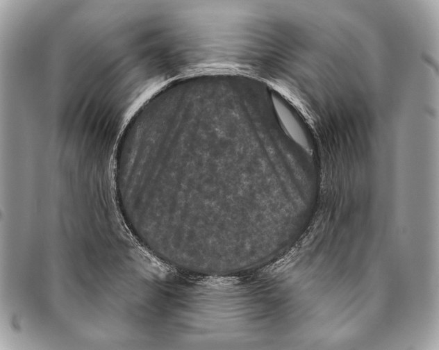 X0000094791325200712071219