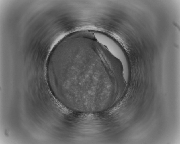 X0000094791326200712071219