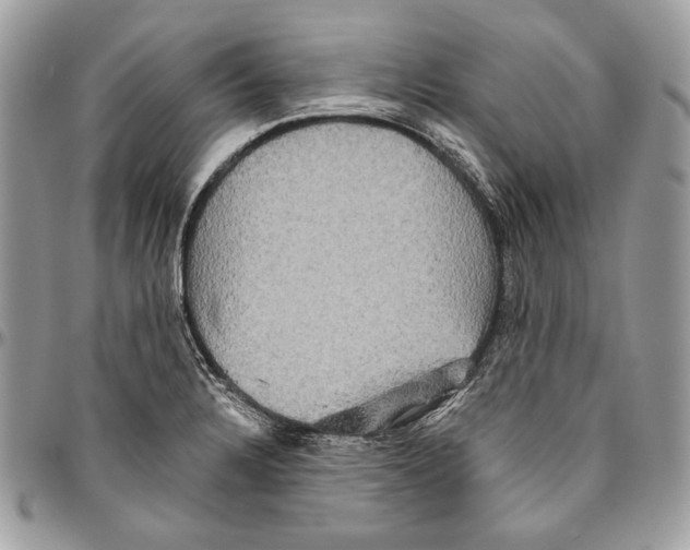 X0000094791328200712071219