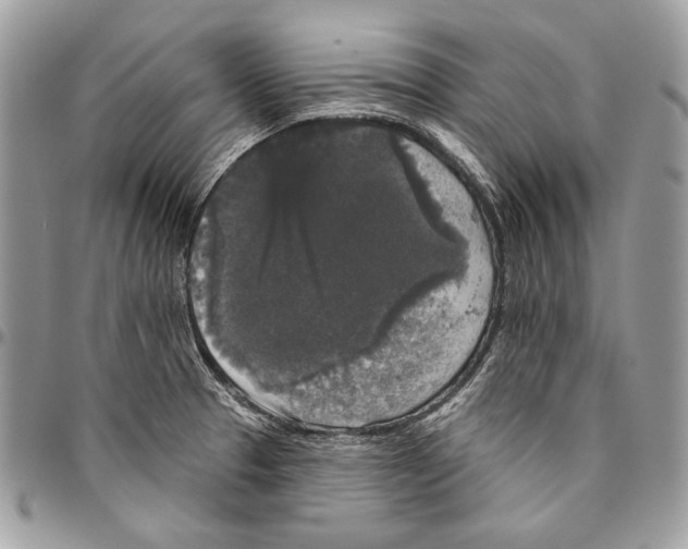 X0000094791329200712071219