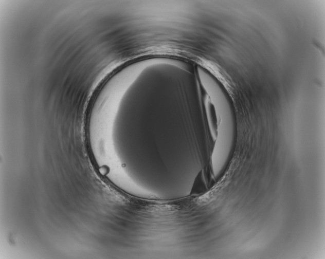 X0000094791331200712071219