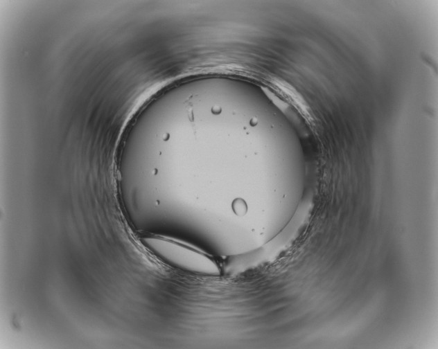 X0000094791332200712071219