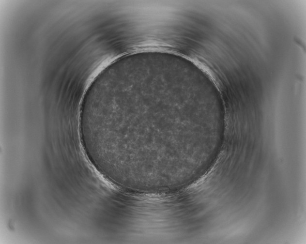 X0000094791333200712071219