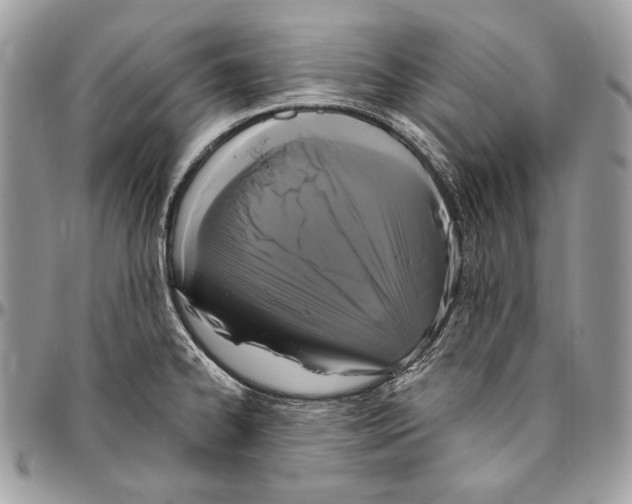 X0000094791334200712071219