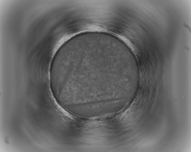 X0000094791335200712071219