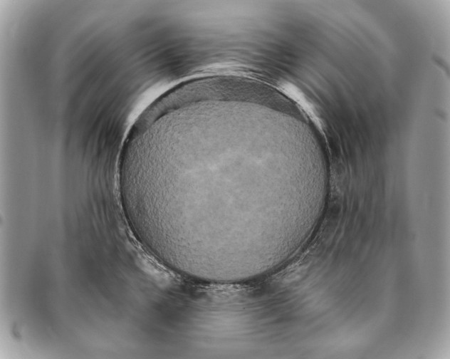 X0000094791336200712071219