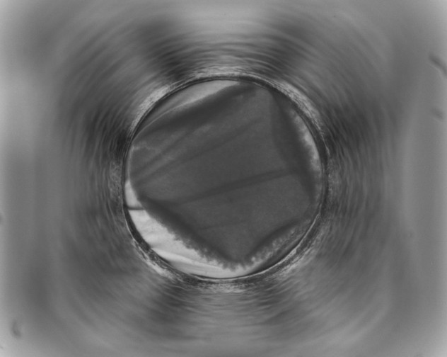 X0000094791337200712071219