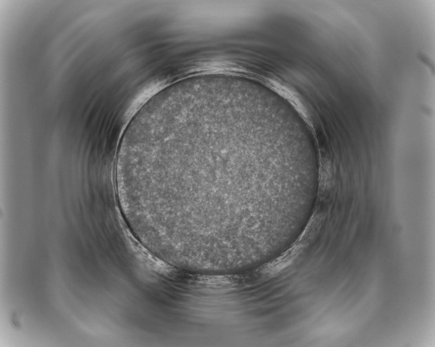 X0000094791338200712071219