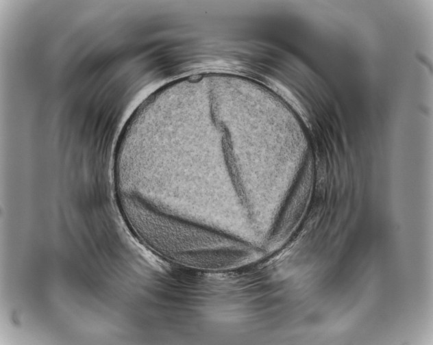 X0000094791339200712071219