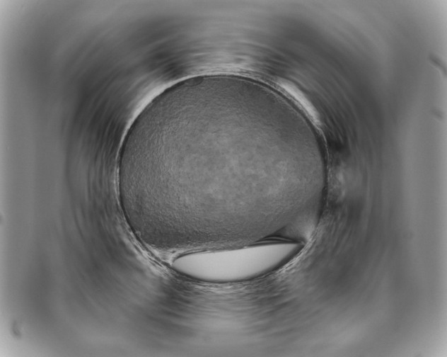 X0000094791340200712071219