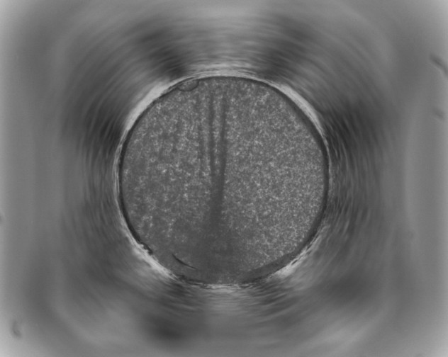 X0000094791341200712071219